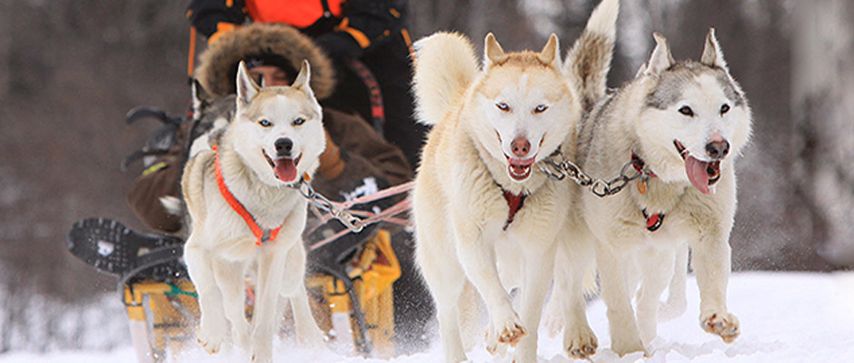 Plaisirs d&rsquo;hiver à Sainte-Thérèse