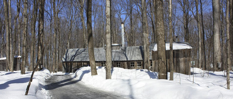 Découvrez la Sucrerie d&rsquo;antan de Bois de Belle-Rivière